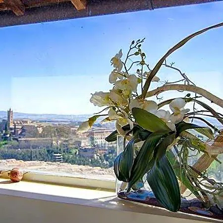 Rinidia Centro * Siena