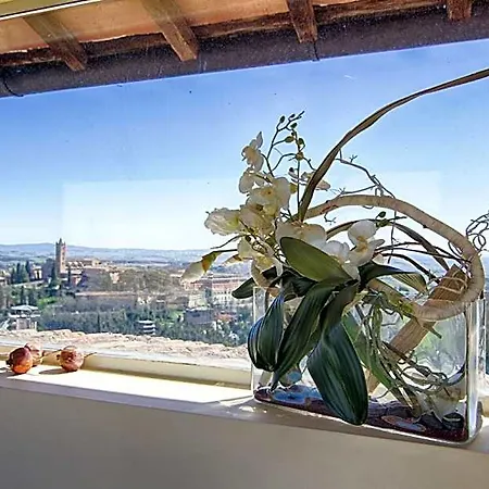 Rinidia Centro Privat bolig Siena
