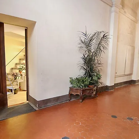 Rinidia - Centro Siena