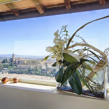 Rinidia - Centro * سيينا